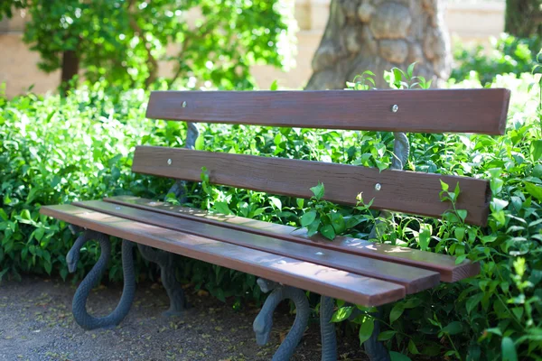 Wooden bench at park — Stock Photo, Image