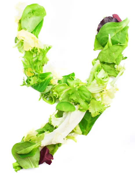 Letter "Y" made from leaves — Stock Photo, Image