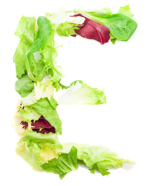 Letter "E" made from leaves — Stock Photo, Image