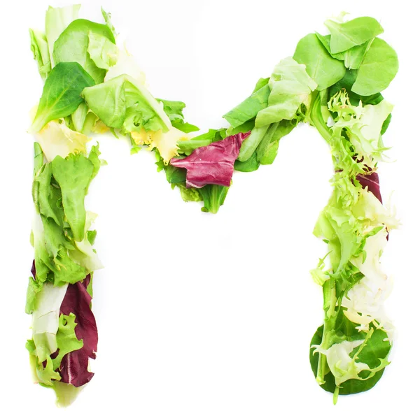Letter "M" made from leaves — Stock Photo, Image