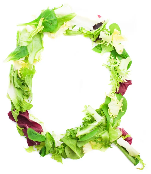 Letter "Q" made from leaves — Stock Photo, Image