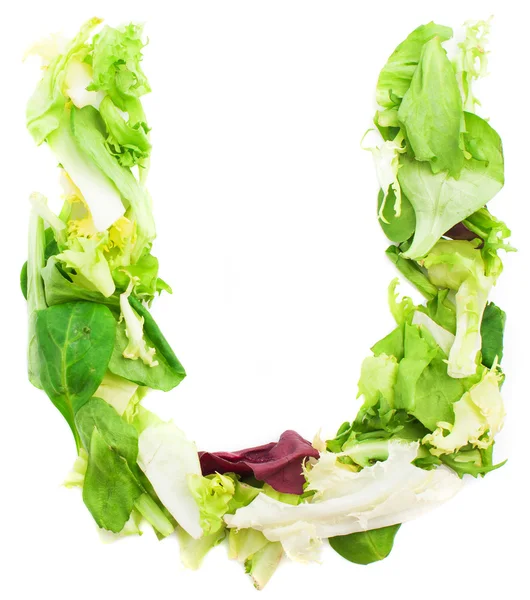 Letter "U" made from leaves — Stock Photo, Image