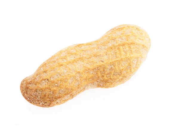 Peanut isolated on white — Stock Photo, Image