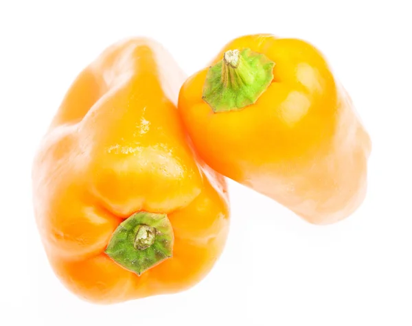 Two peppers isolated — Stock Photo, Image