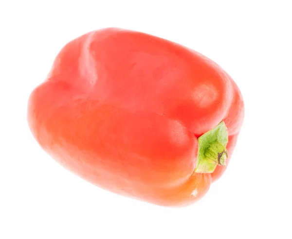 Pepper isolated on white — Stock Image Pepper isolated on white Royalty Free Stock Photos