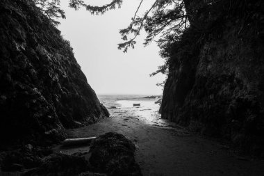 A quiet coastal inlet surrounded by rocky cliffs captures a serene atmosphere. Gentle waves reflect light, creating a peaceful scene at low tide.
