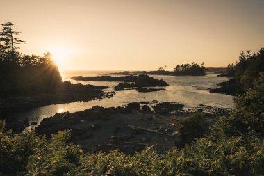 Sunlight breaks over a rocky coastline, illuminating the water and natural scenery. Trees line the shore, creating a peaceful and serene atmosphere.
