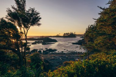 Golden sunlight illuminates a coastal scene with rocky shores and scattered trees, creating a peaceful atmosphere at dusk. Waves gently lap at the water's edge.