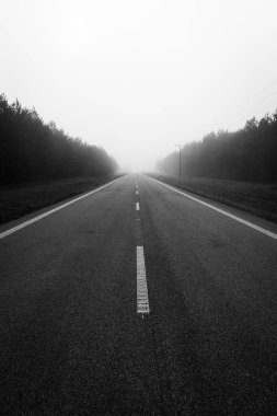 A deserted road stretches into the distance, enveloped in thick fog. The smooth pavement leads through a serene landscape of trees.