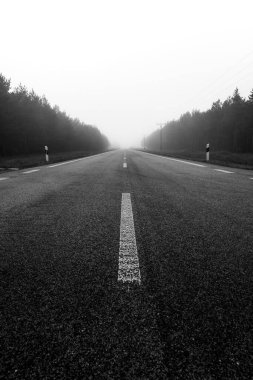 A long, empty road vanishes into the white fog, bordered by tall trees on both sides. The atmosphere feels calm and mysterious.