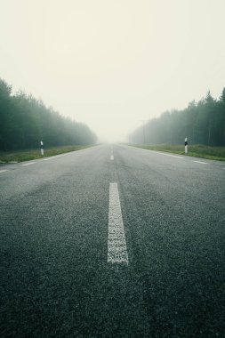 A quiet road appears empty and serene, disappearing into dense fog with tall trees lining both sides.