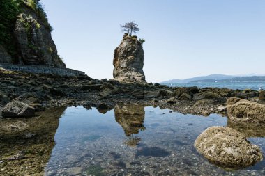 A solitary rocky island rises above calm water in this coastal scene. Surrounding the island are the clear reflections in tide pools, highlighting the serene beauty of nature.