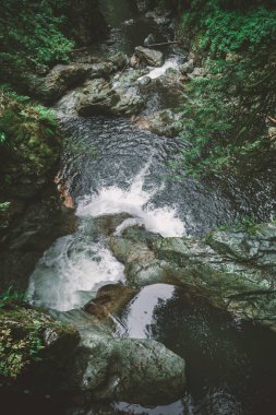 Water rushes over smooth rocks in a lush green canyon, creating small waterfalls and pools. The scene captures the beauty of nature in a serene environment.