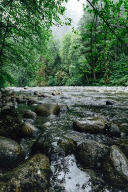 A serene river flows gently through a rocky bed, surrounded by vibrant green trees and foliage under a cloudy sky. Nature's tranquility is on full display in this peaceful setting.