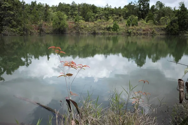 Water storage pond  in nickel mining.