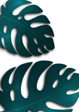 Beyaz arka planda büyük mavi canavar yaprakları. Tasarımın için yaratıcı bir şablon. Vektör illüstrasyonu