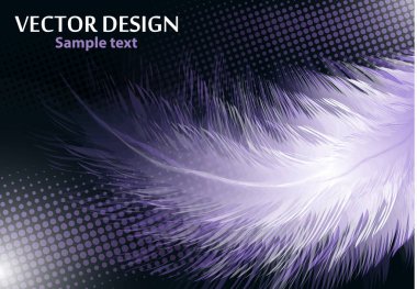 Siyah arka planda izole edilmiş renkli gerçekçi kuş tüyleri, yarım ton etkisi. Tasarımınız için vektör illüstrasyonu.