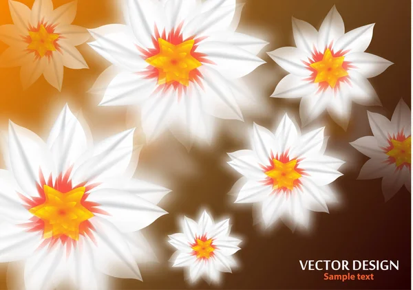 Αφηρημένα Λευκά Λουλούδια Φωτεινό Φόντο Θέση Για Μήνυμά Σας Floral — Διανυσματικό Αρχείο