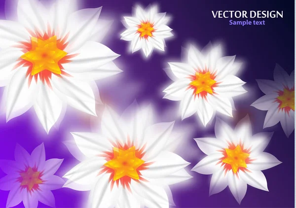 Αφηρημένα Λευκά Λουλούδια Φωτεινό Φόντο Θέση Για Μήνυμά Σας Floral — Διανυσματικό Αρχείο
