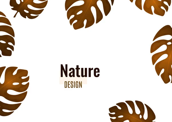 Design Natural Moda Folhas Monstera Brilhantes Lugar Para Texto Fundo — Vetor de Stock