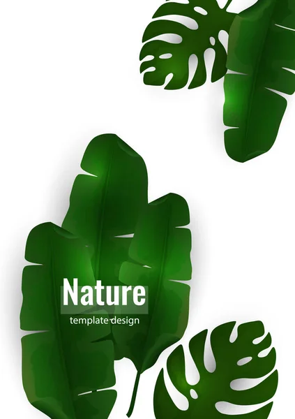 이국적 야자나무 몽테라 배경으로 것이다 광고를 식물학적 — 스톡 벡터