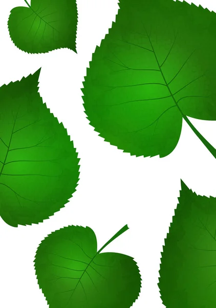Nature Background Green Fresh Leaves Векторная Иллюстрация — стоковый вектор