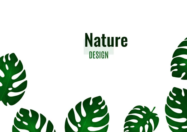 Diseño Natural Moda Hojas Monstera Brillantes Lugar Para Texto Fondo — Vector de stock