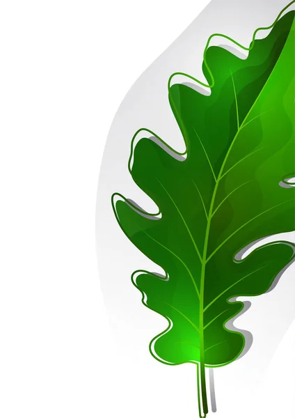 Креативные Зеленые Листья Дуба Светлом Фоне Шаблон Вашего Дизайна Векторная — стоковый вектор