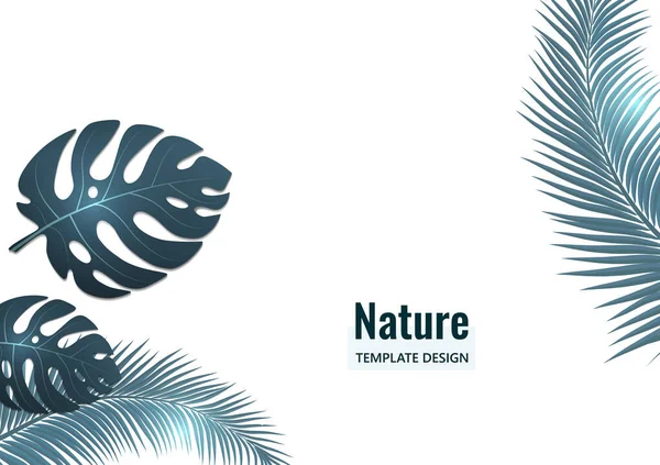 Style Tropical Abstrait Feuilles Monstera Palmiers Sur Fond Blanc Illustration — Image vectorielle