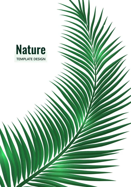 Absztrakt Trópusi Stílus Pálmaág Fehér Háttérrel Vektor Illusztráció Tervezés — Stock Vector