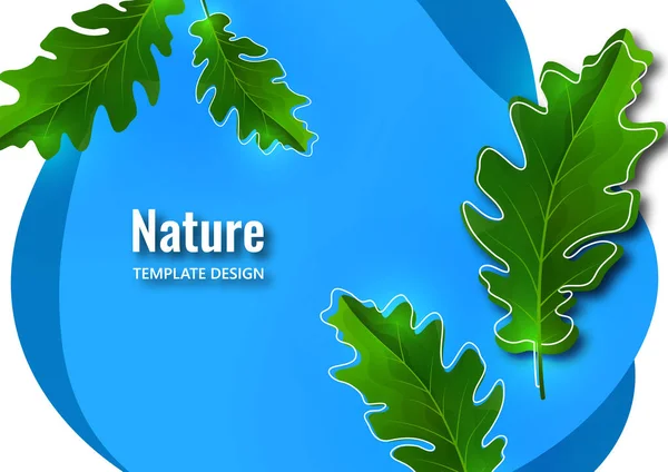 Fond Botanique Créatif Feuilles Chêne Sur Des Formes Bleues Concept — Image vectorielle