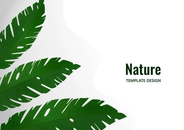 Összetétel Egzotikus Trópusi Levelekből Fehér Alapon Sablon Tervezéshez Vektorillusztráció — Stock Vector