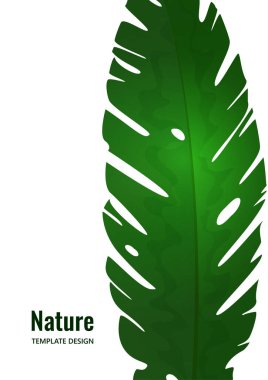 Beyaz arka planda izole edilmiş tropikal bir yaprak. Tasarımın için şablon. Vektör illüstrasyonu