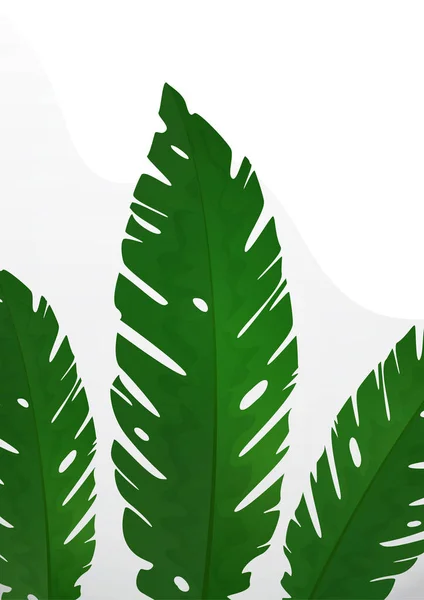Composición Hojas Tropicales Exóticas Sobre Fondo Blanco Plantilla Para Diseño — Vector de stock
