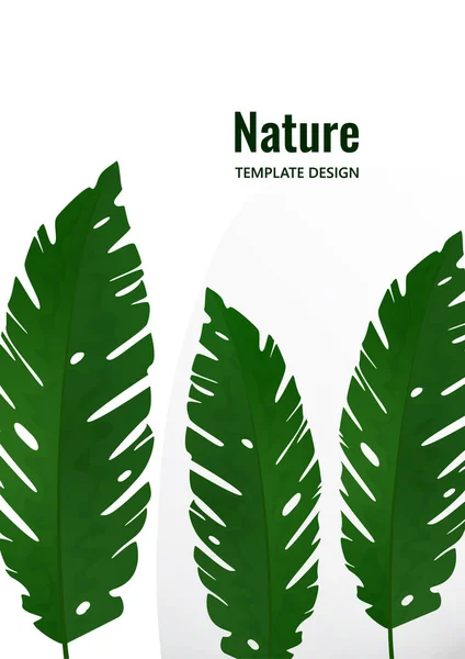 Composition Partir Feuilles Tropicales Exotiques Sur Fond Blanc Modèle Pour — Image vectorielle