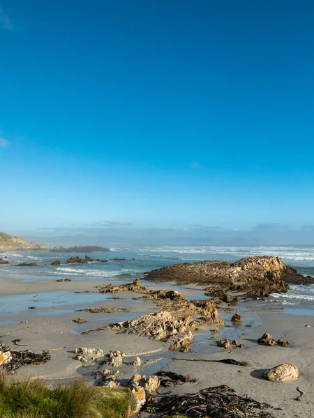 View Kammabaai Beach Walker Bay Hermanus Whale Coast Overberg Western — Stock Photo, Image