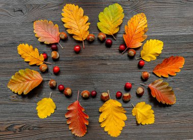 Dökülen yapraklarla sonbahar çerçevesi ve ahşap zemin üzerinde boş boşluk