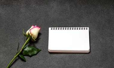 Pembe gül ve siyah arkaplan üzerine boş defter kağıdı. 