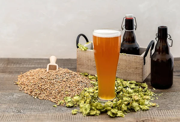 Yüksek bardakta buğday birası, buğday, şerbetçiotu ve şişe. Mikro demleme kavramı, kopyalama alanı