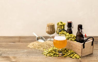 Bira homurdanan yeşil şerbetli bardakta bira. Ev yapımı. Boşluğu kopyala.