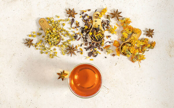 Cup of freshly brewed fruit and herbal tea and a variety of dry tea. Healthy concept, remedy for help to prevent flu. Trend hard shadows, free negative space