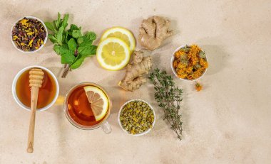 Bir fincan taze meyve ve nane, limon ve zencefilli bitki çayı. Sağlıklı bir konsept, gribi önlemeye yardımcı olur. Sert gölgeler eğilimi.