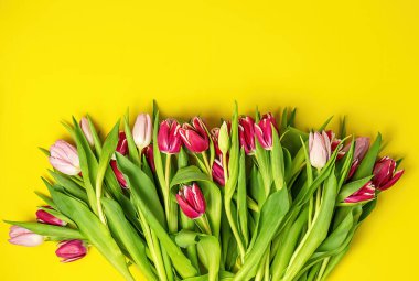 Pembe ve kırmızı laleli Paskalya sarı kartı, mutlu bayramlar.