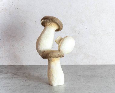 Eringi ya da Kral istiridye mantarı. Alternatif protein kaynağı. Dengeli yüzen yiyecek dengesi.