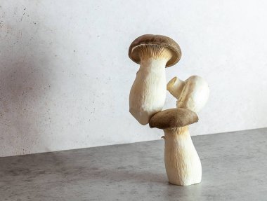 Eringi ya da Kral istiridye mantarı. Alternatif protein kaynağı. Dengeli yüzen yiyecek dengesi.