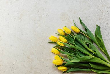 Işık taşı zemininde sarı laleler. Bahar, tatiller, anneler günü, paskalya konsepti