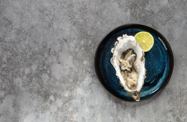 Mavi tabakta taze istiridye, limonlu. Sağlıklı gurme deniz ürünleri.. 