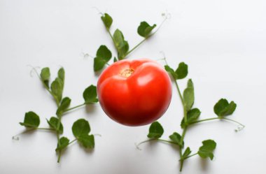 Beyaz arka planda yeşil bezelye yapraklarından oluşan taze kırmızı domates. Yiyecek uçurma konsepti. Sağlıklı yemekler, olgun sebzeler.