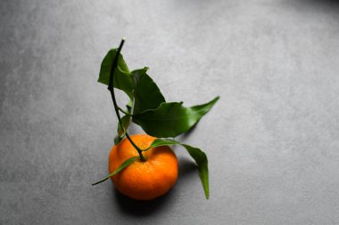 Gri arka planda yeşil yapraklı taze turuncu mandalina. Yiyecek uçurma konsepti. Sağlıklı yiyecekler, olgun meyveler, turunçgiller..
