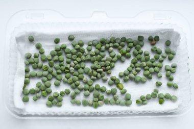 Bezelye mikroyeşilliği yakın plan. Mikro yeşil köylüler. Evde tohum yetiştirme. Tohumlar, mikro yeşiller. Vejetaryen ve sağlıklı beslenme konsepti..